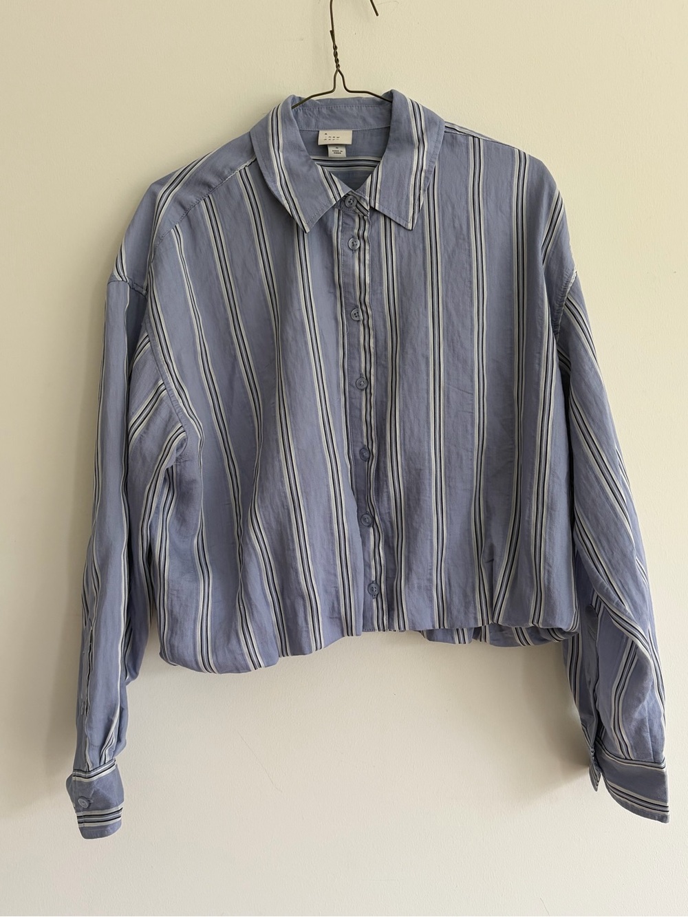 Striped Button-Up Cropped Shirt in Light Blue and White